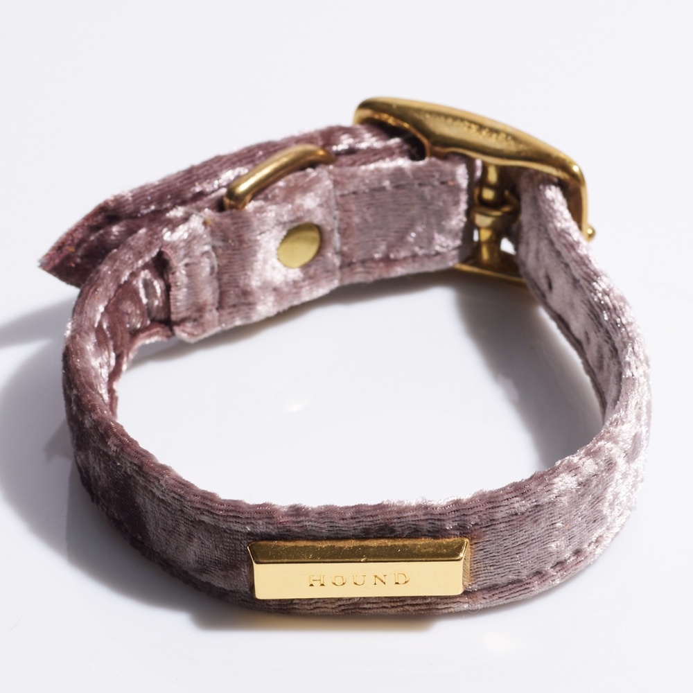 Leather Dog Collar by Hound Collection with Gold Bar Logo